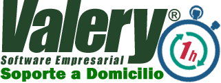 Primera Hora de Soporte a Domicilio