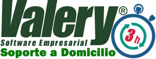 3 Horas de Servicio en Domicilio